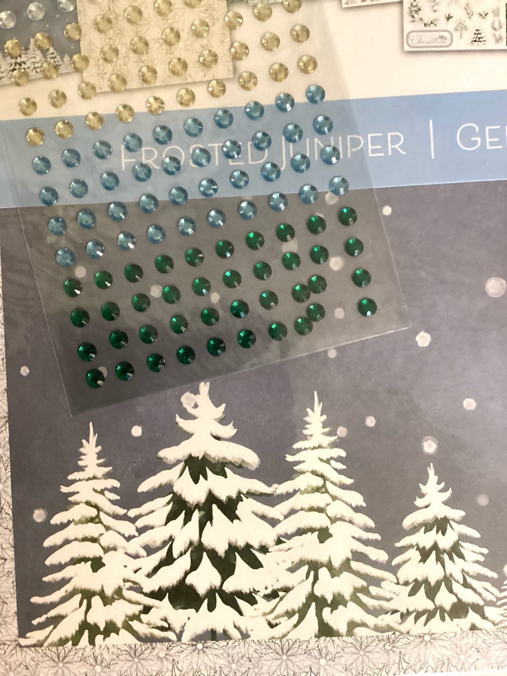 NEW Recollection Christmas scrapbooking pack with rhinestones.